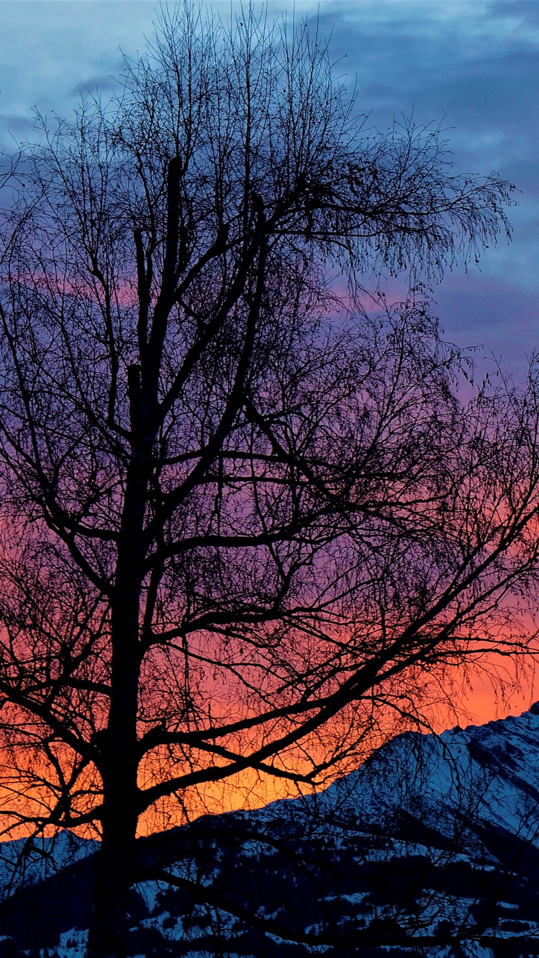 Naturaleza, Mañana, Puesta, Paisaje Natural, Afterglow. Wallpaper in 1080x1920 Resolution