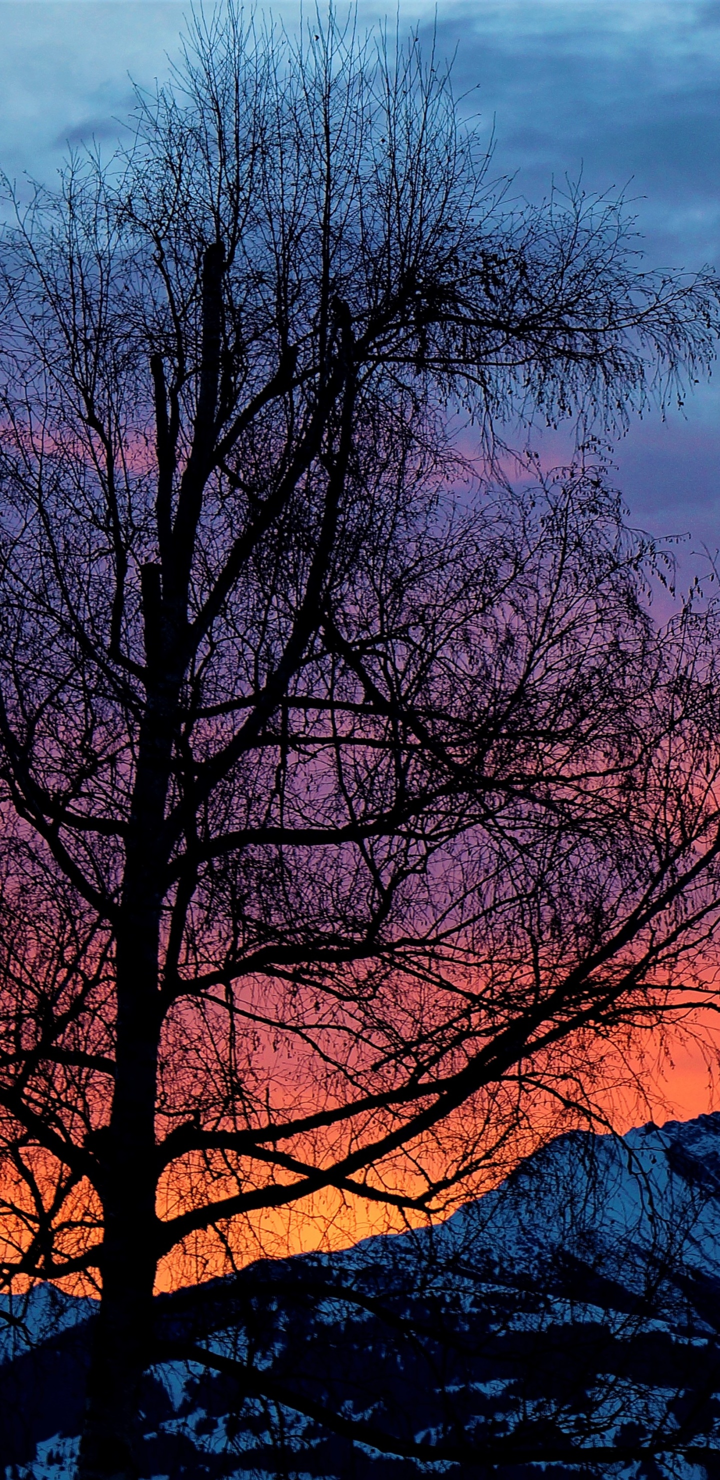 Natur, Morgen, Sonnenaufgang, Sonnenuntergang, Naturlandschaft. Wallpaper in 1440x2960 Resolution