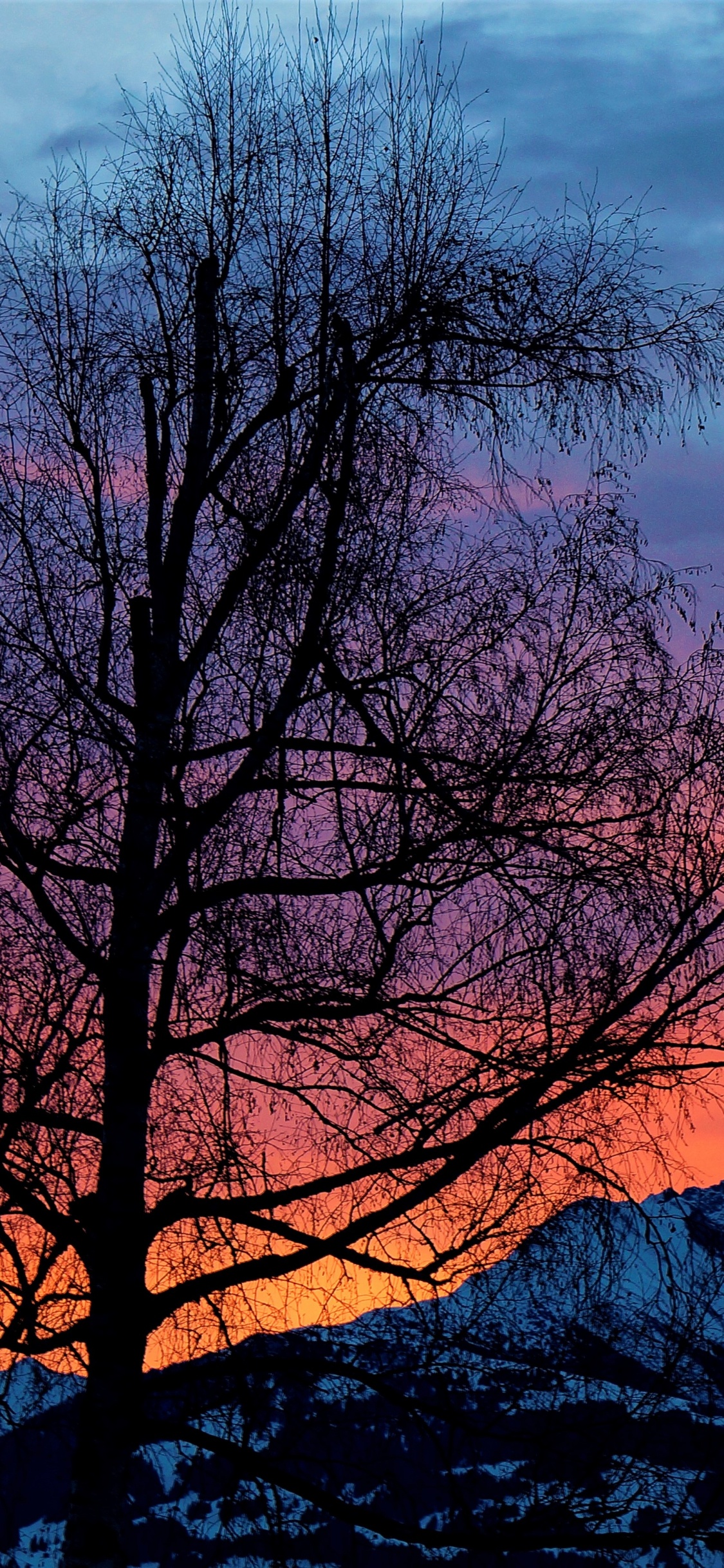 Nature, Morning, Sunrise, Sunset, Natural Landscape. Wallpaper in 1125x2436 Resolution