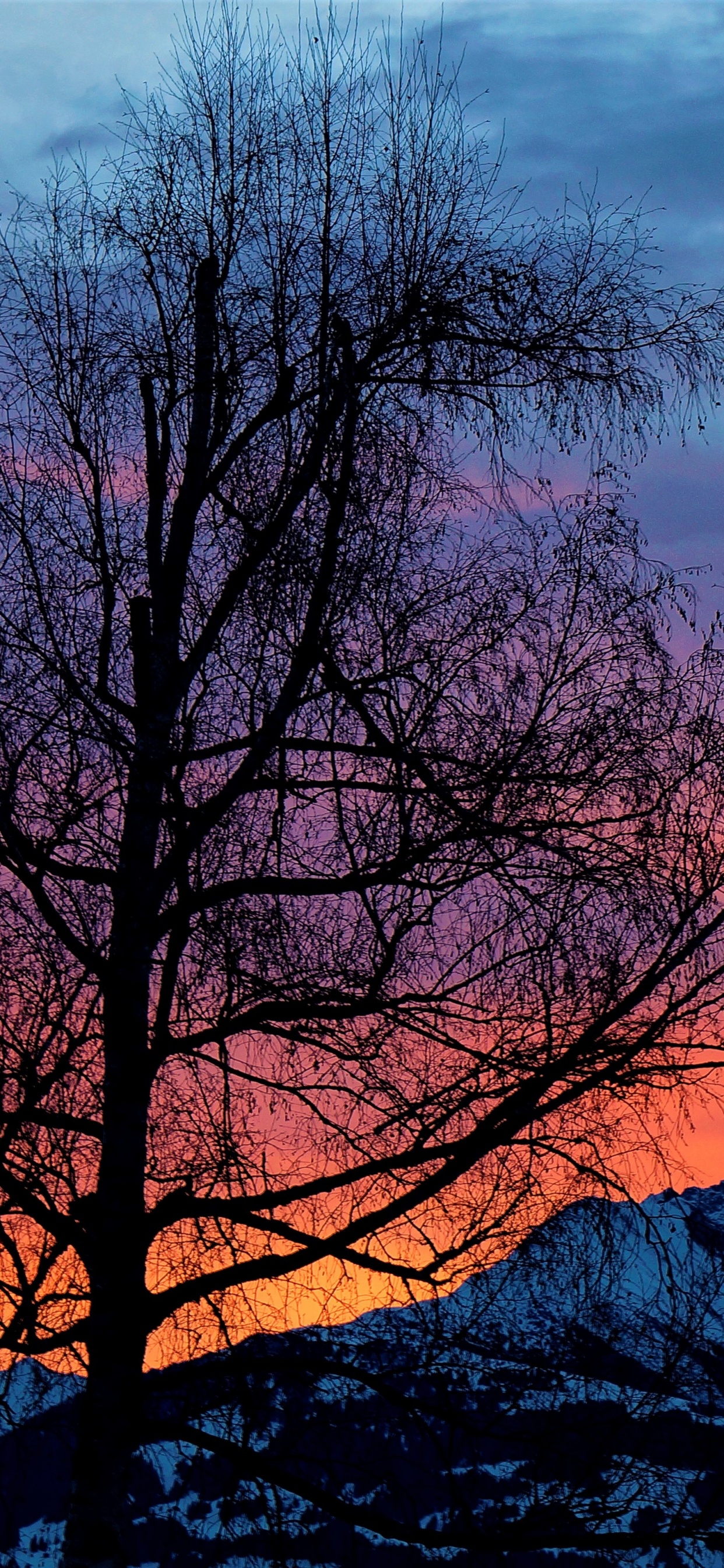 Nature, Morning, Sunrise, Sunset, Natural Landscape. Wallpaper in 1242x2688 Resolution