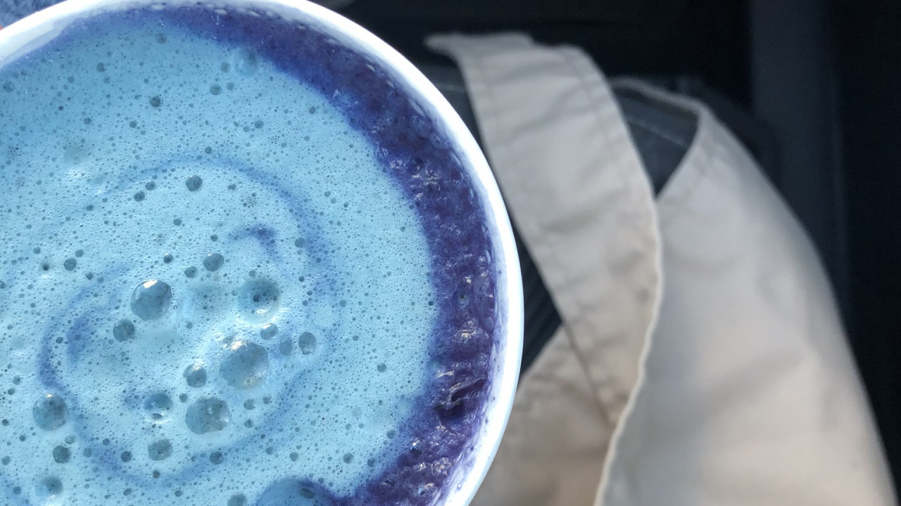 Cup, Blueberry, Kaffee, Berry. Wallpaper in 1280x720 Resolution