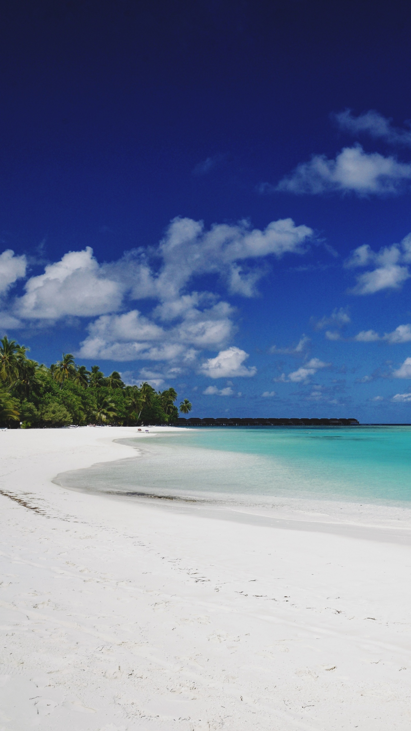 Strand, Meer, Gewässer, Blau, Tropics. Wallpaper in 1440x2560 Resolution