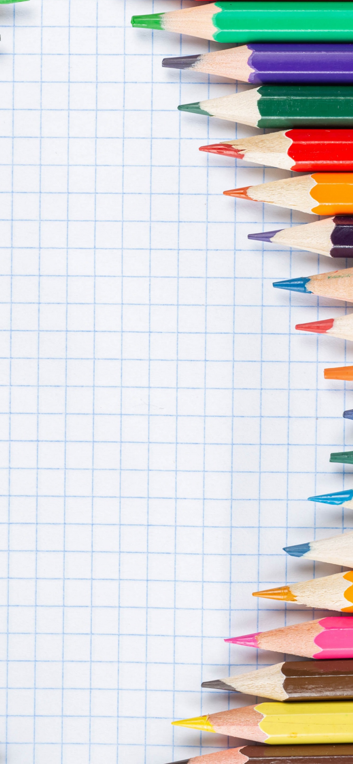 Pencil, Colorfulness, Writing Implement, Line, Rectangle. Wallpaper in 1125x2436 Resolution