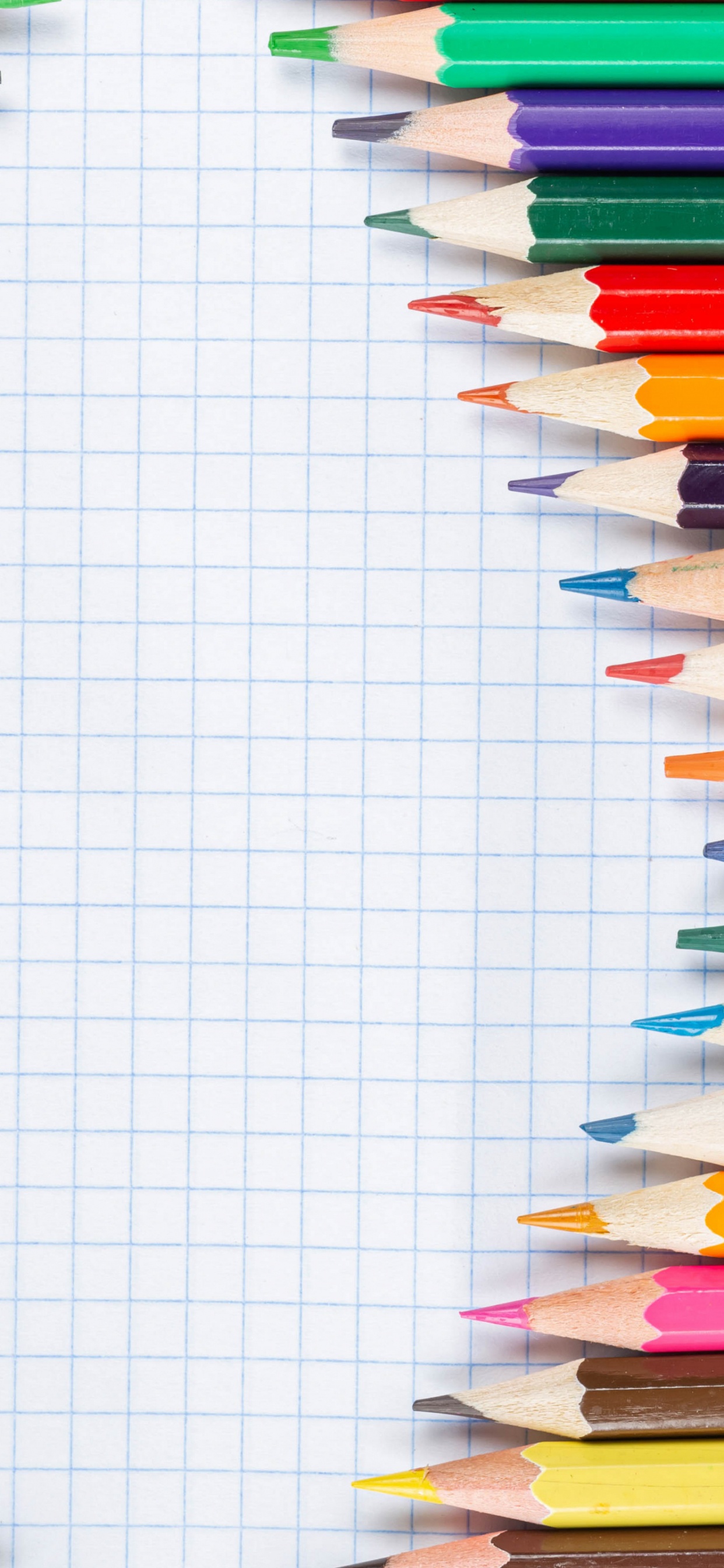Pencil, Colorfulness, Writing Implement, Line, Rectangle. Wallpaper in 1242x2688 Resolution