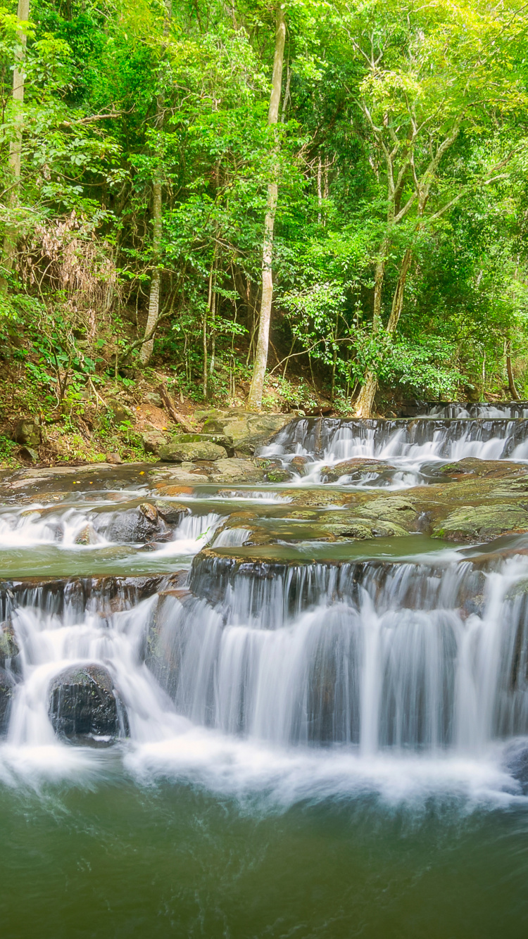 Water Falls in The Middle of The Forest. Wallpaper in 750x1334 Resolution
