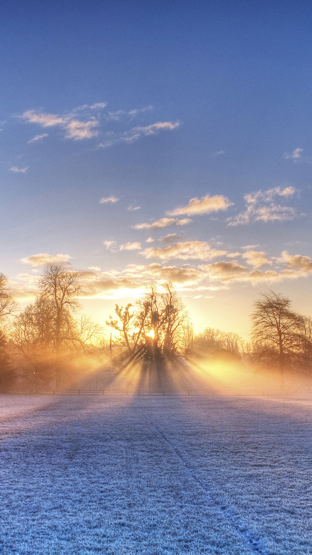 Arbres Sans Feuilles Sur Sol Couvert de Neige Pendant le Coucher du Soleil. Wallpaper in 1080x1920 Resolution
