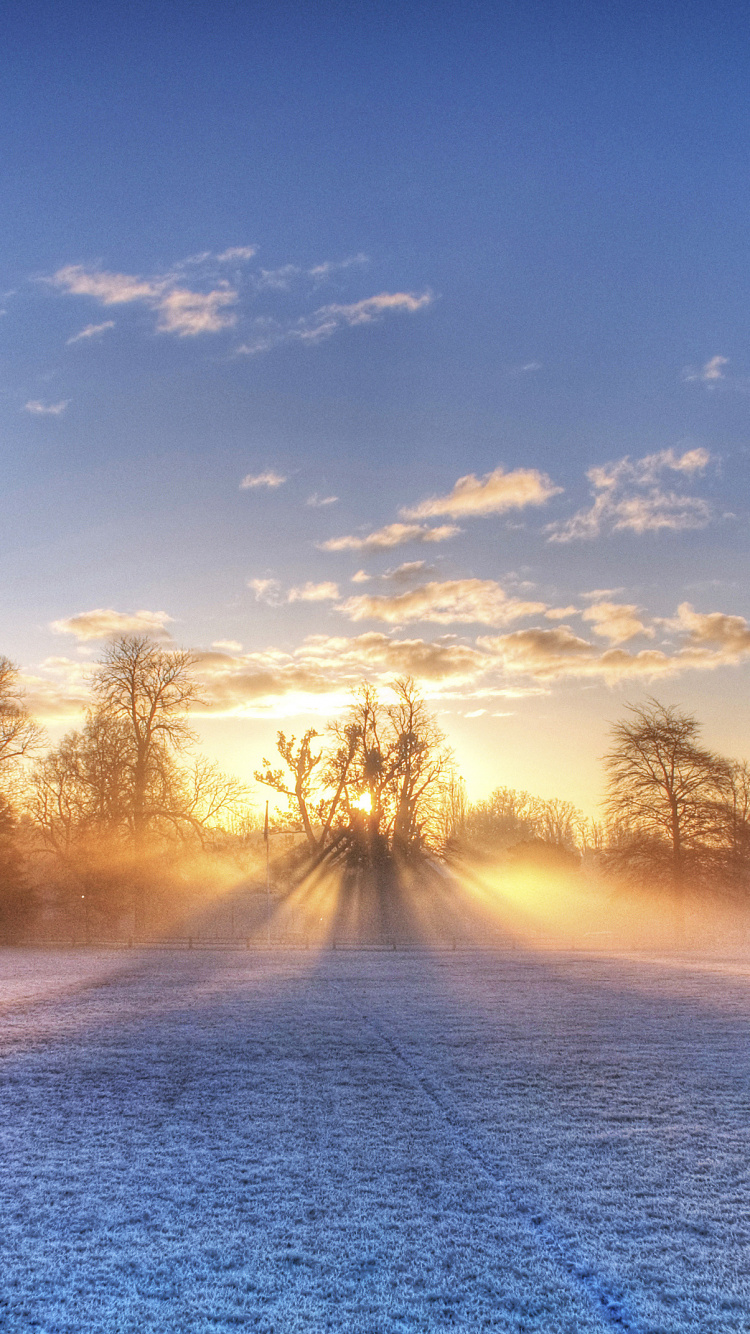 Arbres Sans Feuilles Sur Sol Couvert de Neige Pendant le Coucher du Soleil. Wallpaper in 750x1334 Resolution