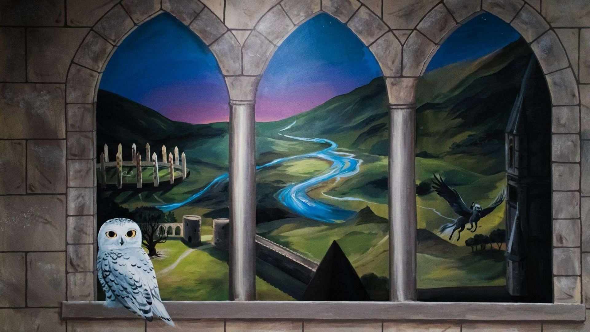 Peinture D'oiseau Blanc et Bleu. Wallpaper in 1920x1080 Resolution