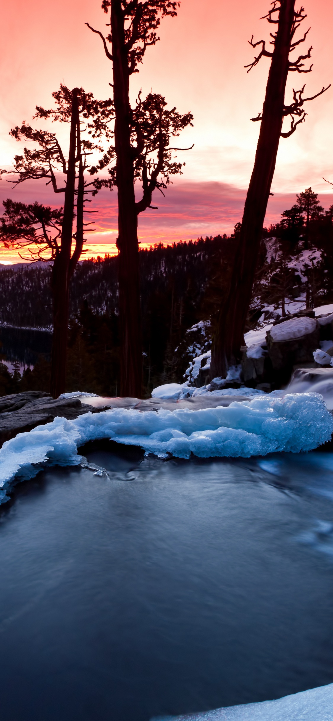 Terreno Cubierto de Nieve Con Árboles Durante la Puesta de Sol. Wallpaper in 1125x2436 Resolution
