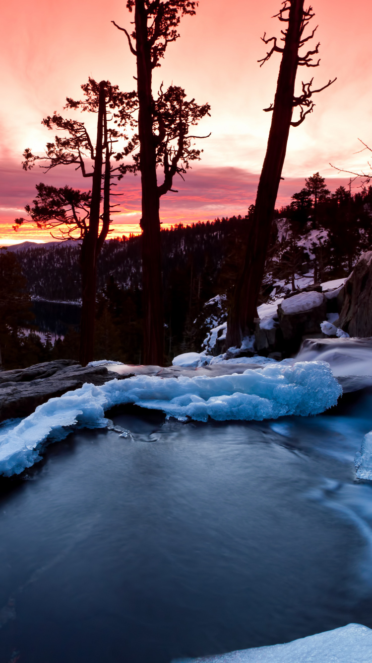 Terreno Cubierto de Nieve Con Árboles Durante la Puesta de Sol. Wallpaper in 750x1334 Resolution