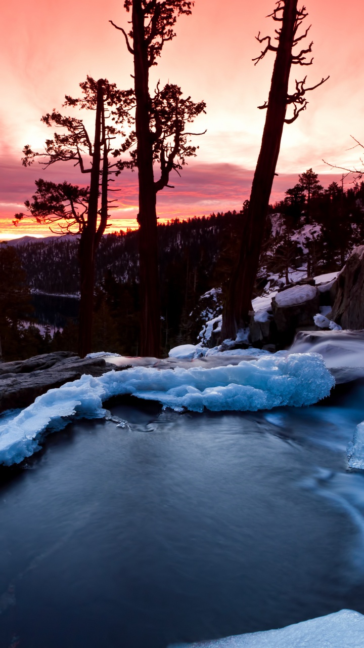 Sol Couvert de Neige Avec Des Arbres Pendant le Coucher du Soleil. Wallpaper in 720x1280 Resolution