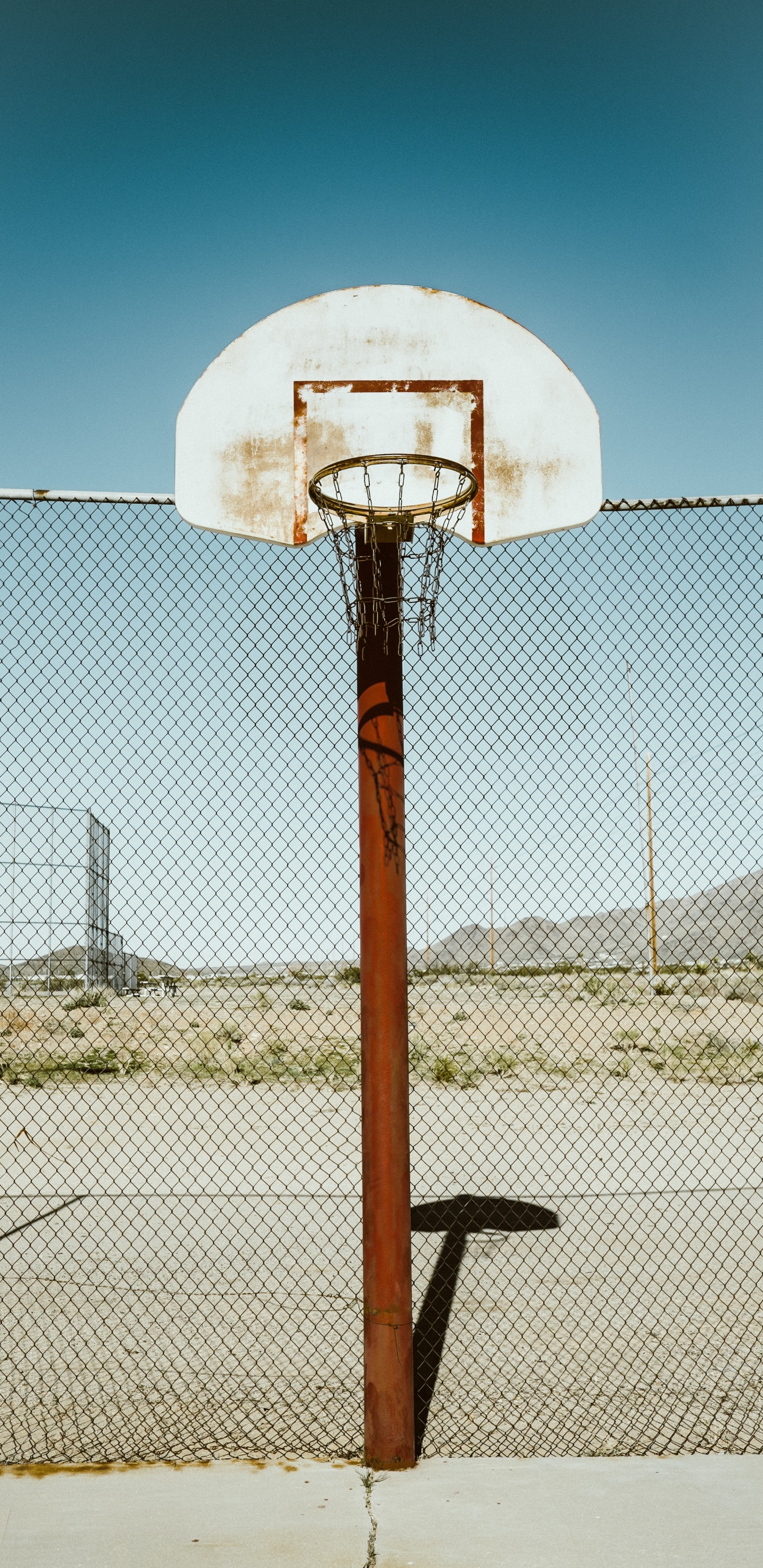 Aro de Baloncesto Blanco y Marrón. Wallpaper in 1440x2960 Resolution