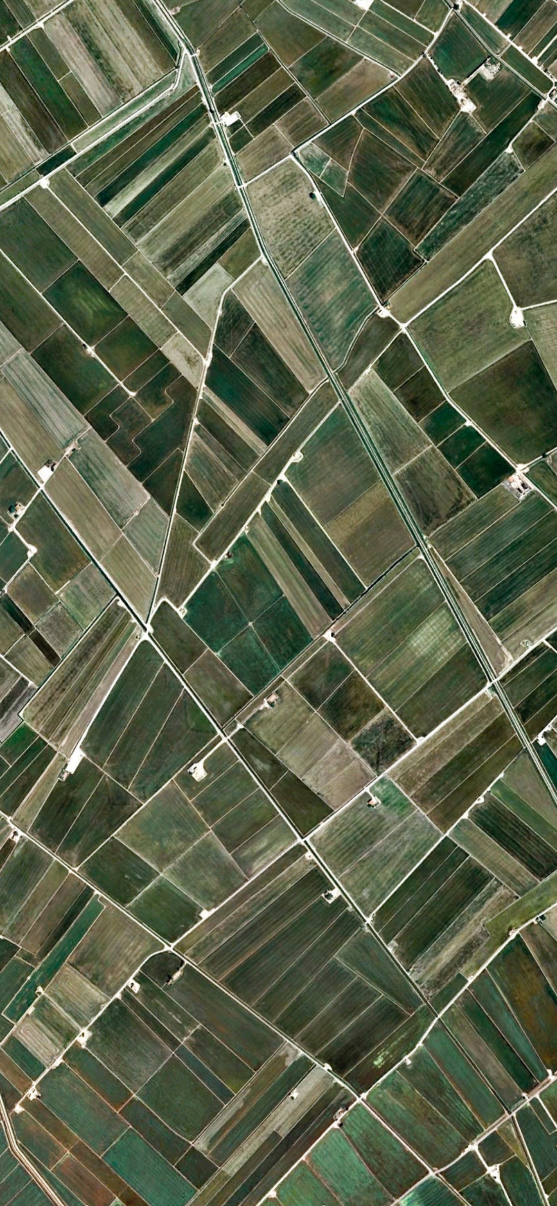 Google Pixel, 像素3a, Google Pixel 3 XL, 谷歌像素XL, 像素2 壁纸 1125x2436 允许