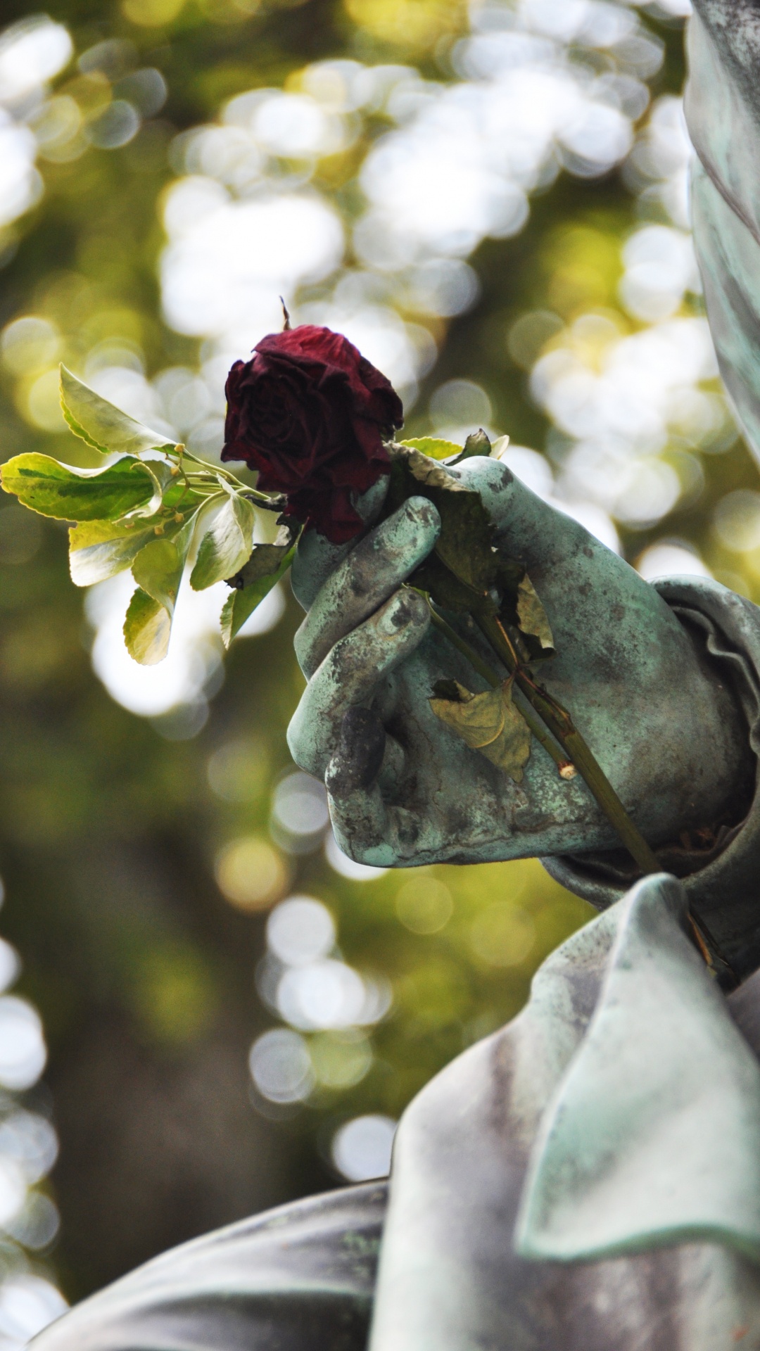 Rosa Roja Sobre Piedra Gris. Wallpaper in 1080x1920 Resolution