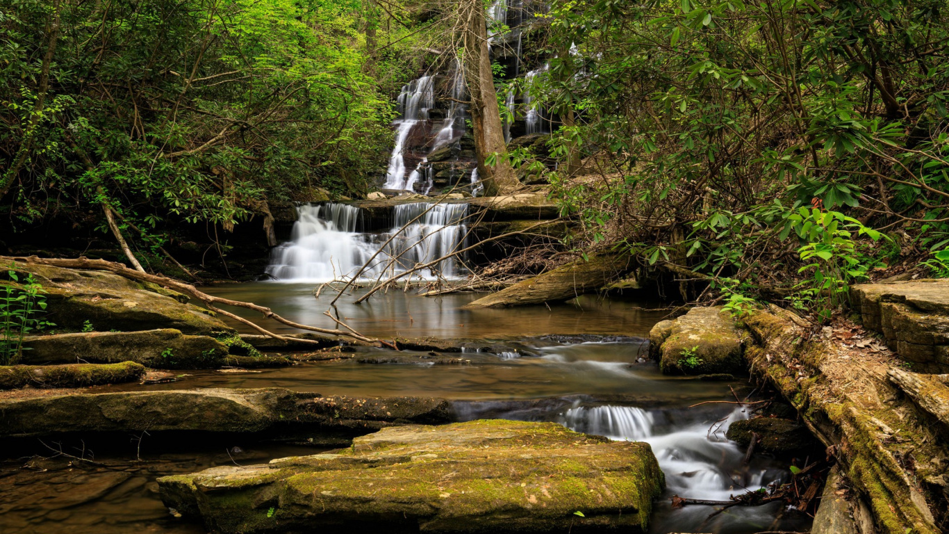 el Agua Cae en Medio Del Bosque. Wallpaper in 1366x768 Resolution