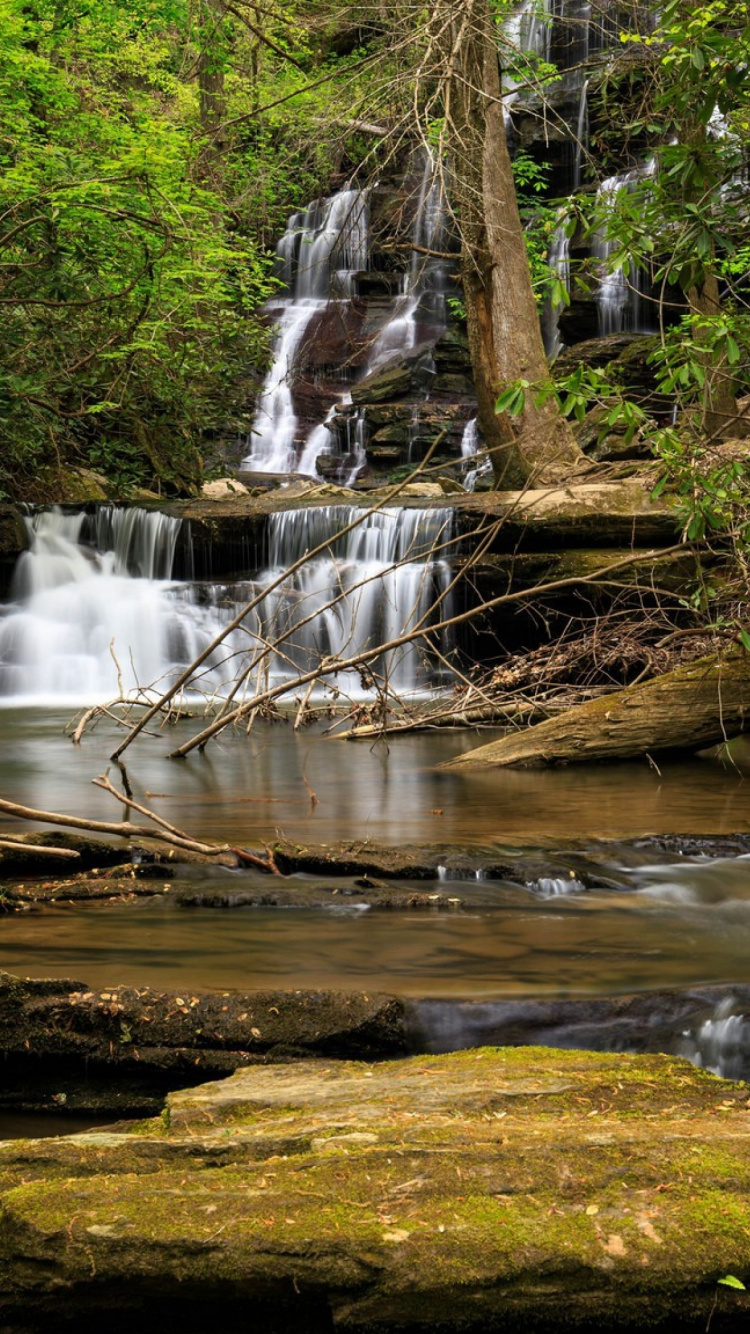 Wasser Fällt Mitten in Den Wald. Wallpaper in 750x1334 Resolution