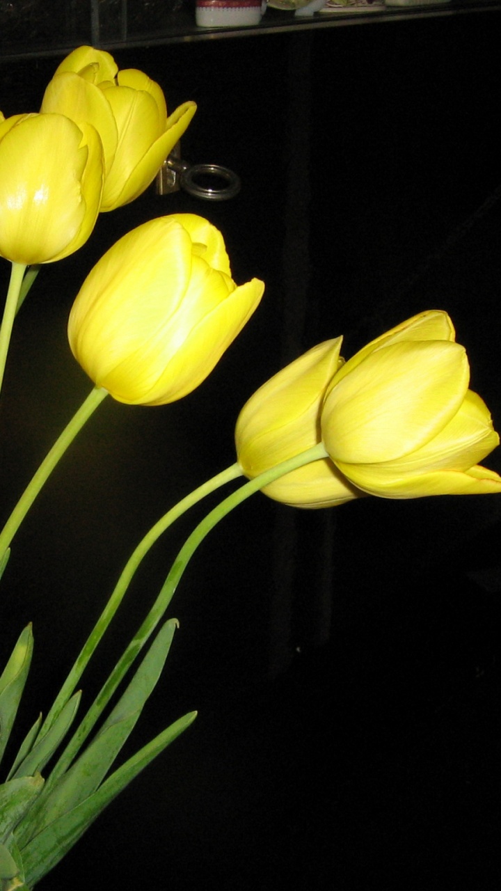 Tulipanes Amarillos en Jarrón de Vidrio Transparente. Wallpaper in 720x1280 Resolution