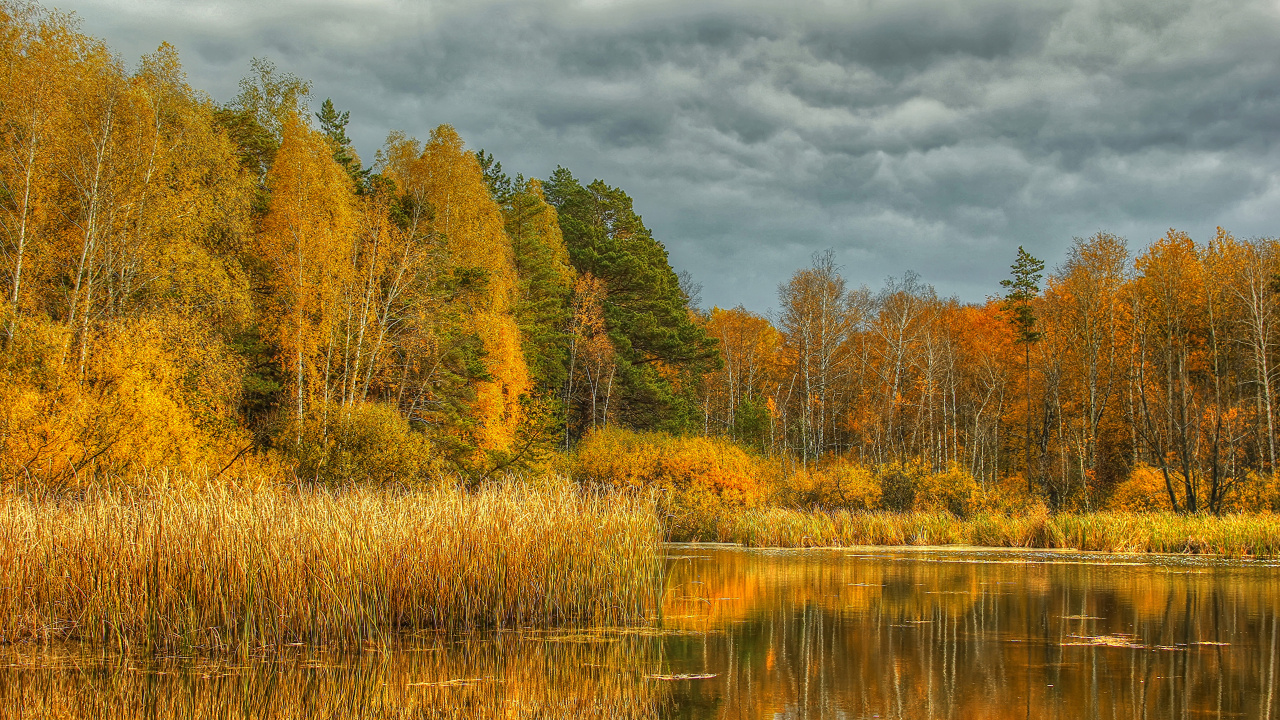 Braune Und Grüne Bäume Neben Dem Fluss Unter Bewölktem Himmel Tagsüber. Wallpaper in 1280x720 Resolution