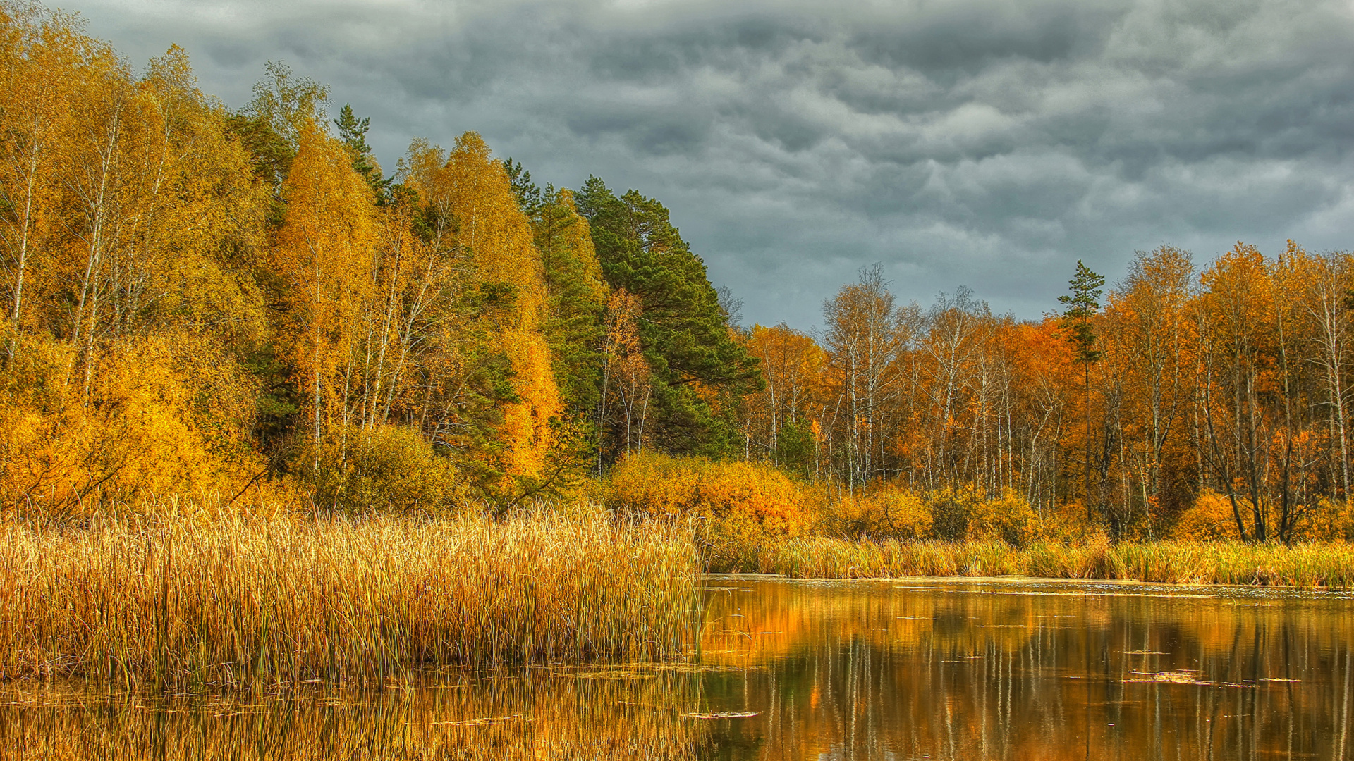 Brown and Green Trees Beside River Under Cloudy Sky During Daytime. Wallpaper in 1920x1080 Resolution