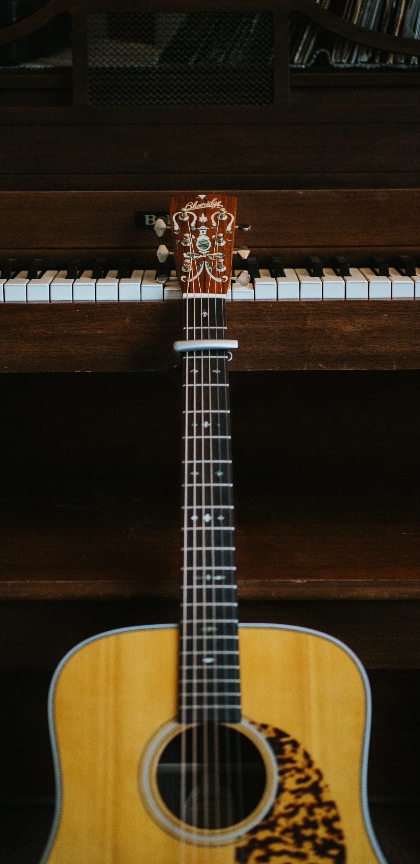 Akustikgitarre, Klavier, Gezupfte Saiteninstrumente, Cuatro, Musikunterricht. Wallpaper in 1440x2960 Resolution