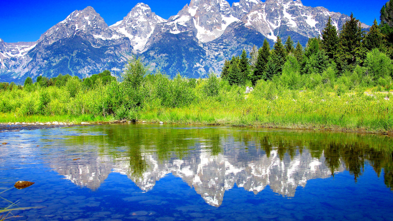 Green Trees Near Body of Water During Daytime. Wallpaper in 1280x720 Resolution