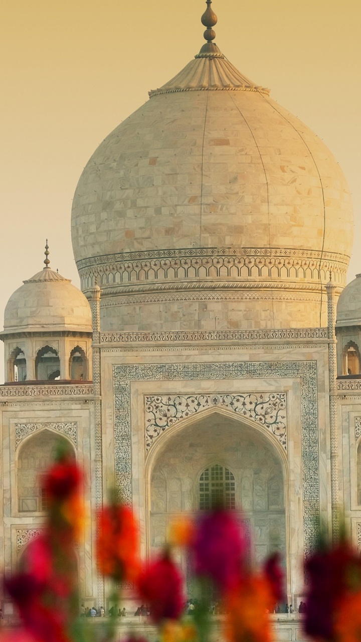 Menschen Vor Weißem Betongebäude Tagsüber. Wallpaper in 720x1280 Resolution