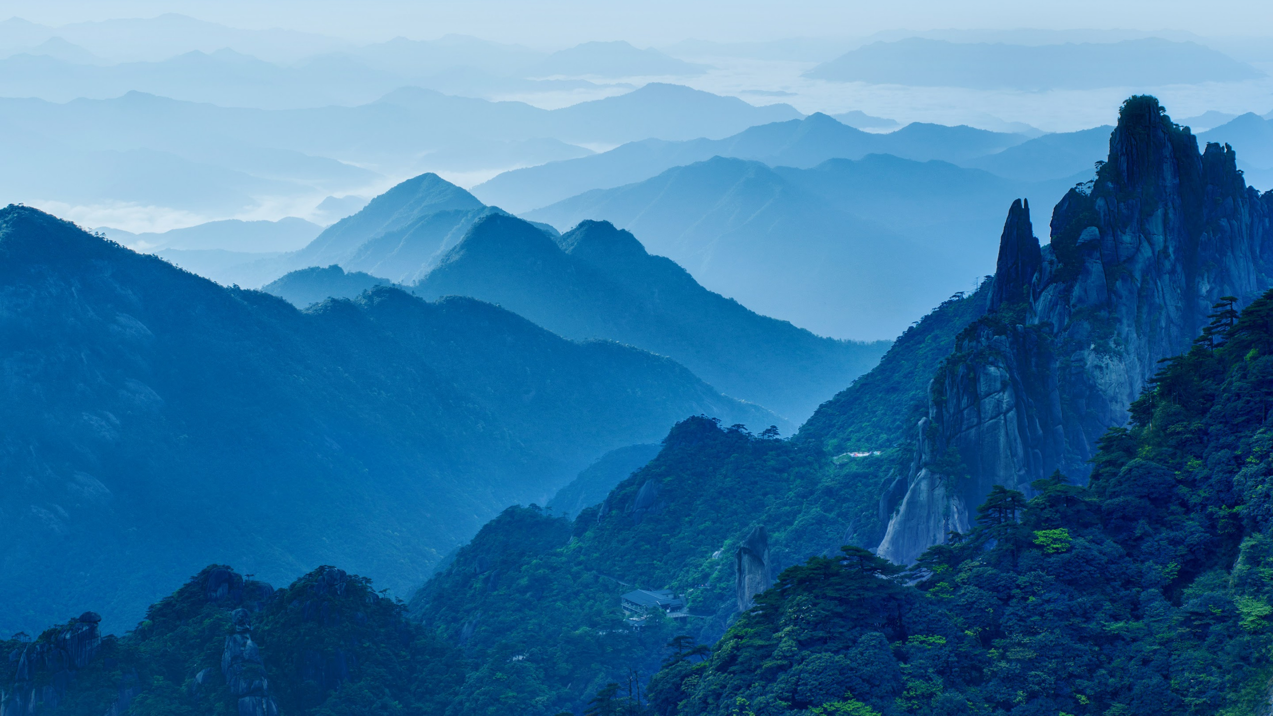 Huawei, Huawei Mate, Huawei Mate 10, Huawei Mate 10 Pro, Android. Wallpaper in 2560x1440 Resolution