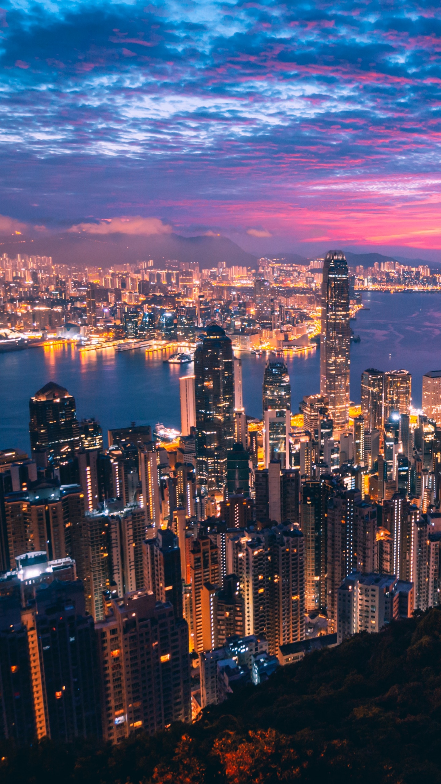 香港, 城市景观, 城市, 大都会, 天际线 壁纸 1440x2560 允许