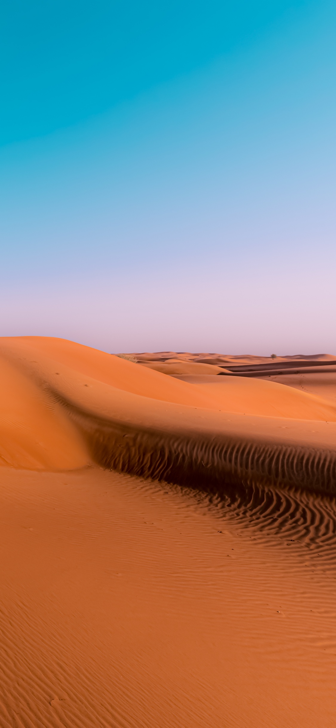 Erg, Singender Sand, Natürlichen Umgebung, Naturlandschaft, Horizont. Wallpaper in 1125x2436 Resolution