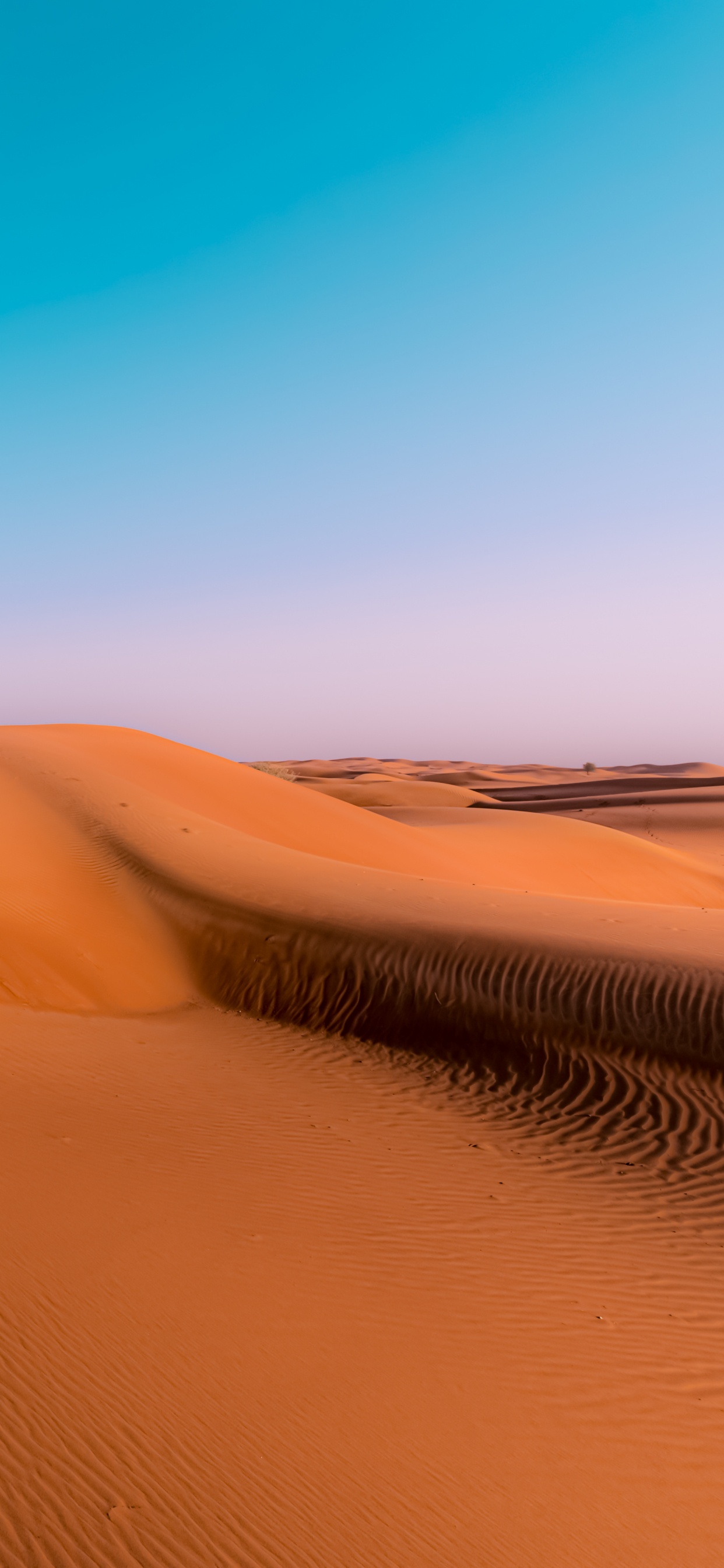 Erg, Singing Sand, Natural Environment, Natural Landscape, Landscape. Wallpaper in 1242x2688 Resolution