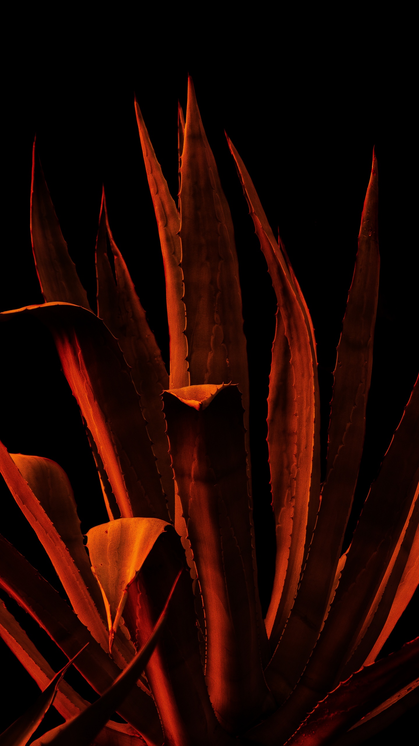 Orange, Video, Benutzerkontos, Fabrik, Licht. Wallpaper in 1440x2560 Resolution