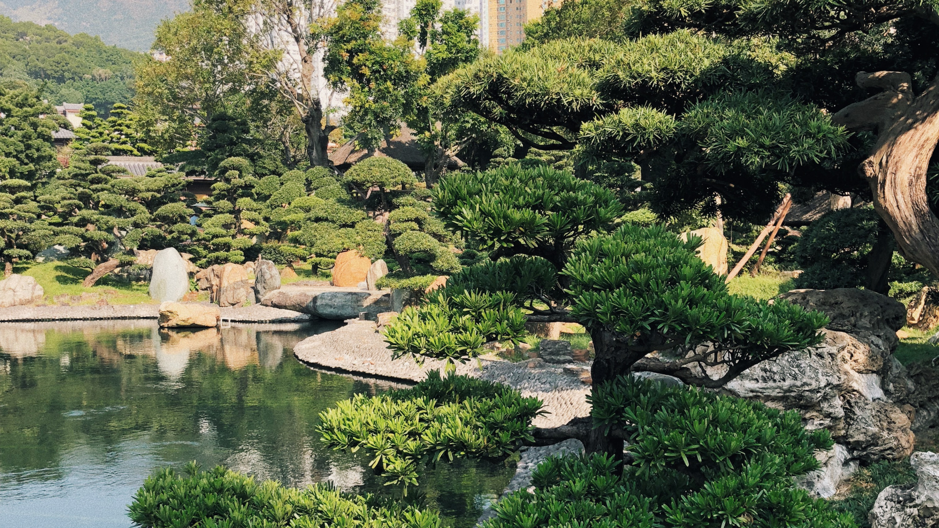 Hongkong, Vegetation, Botanischer Garten, Biome, Wasser. Wallpaper in 1920x1080 Resolution