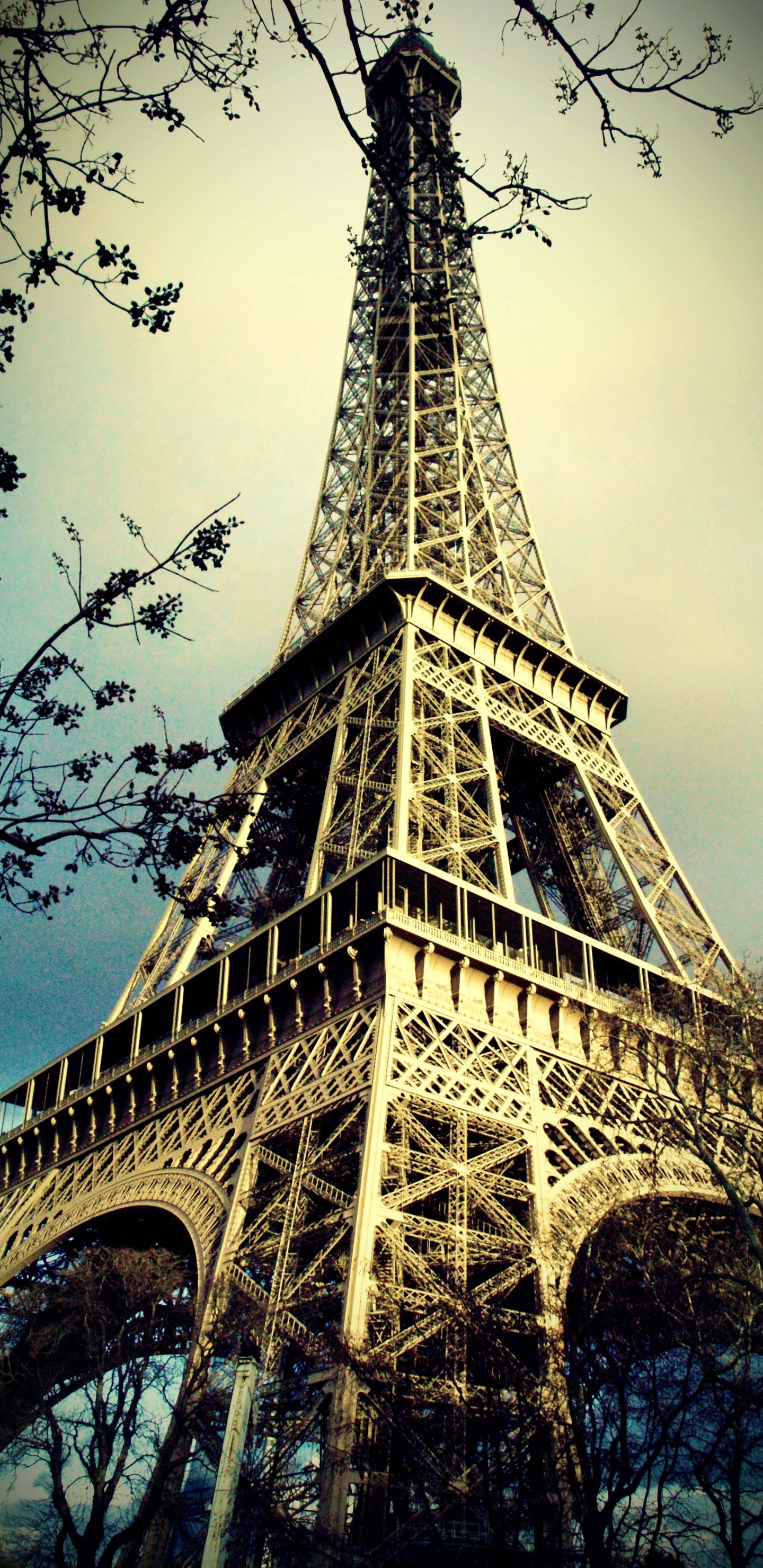 Tour Eiffel Sous Ciel Gris. Wallpaper in 1440x2960 Resolution