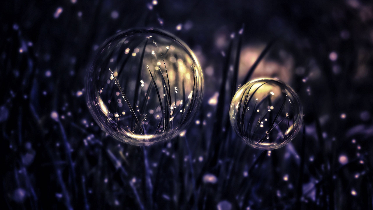 Adorno de Navidad, Agua, Decoración de la Navidad, Circulo, Evento. Wallpaper in 1280x720 Resolution