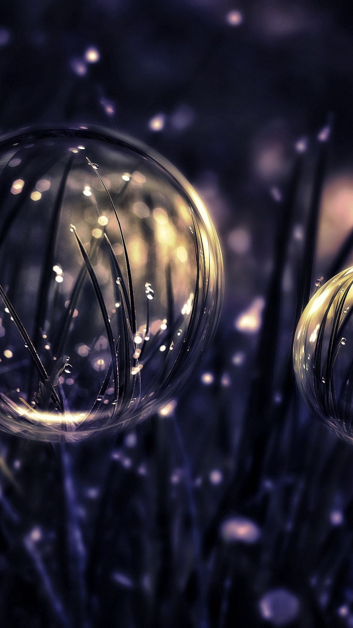 Ornement de Noël, Eau, Liquid, Ornement, Décoration de Noël. Wallpaper in 720x1280 Resolution