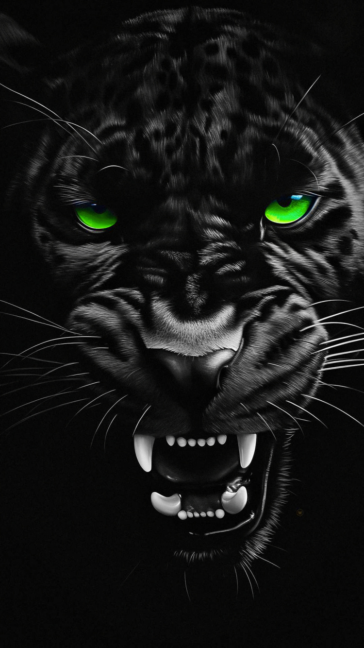 Black Panther, Uefa Champions League, fc Barcelona, Video Recording, TikTok. Wallpaper in 750x1334 Resolution