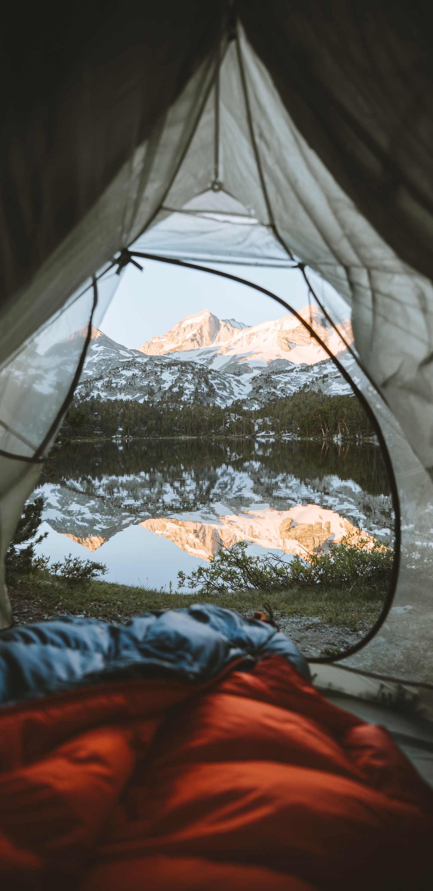 Tejido Rojo y Blanco Dentro de la Carpa.. Wallpaper in 1440x2960 Resolution