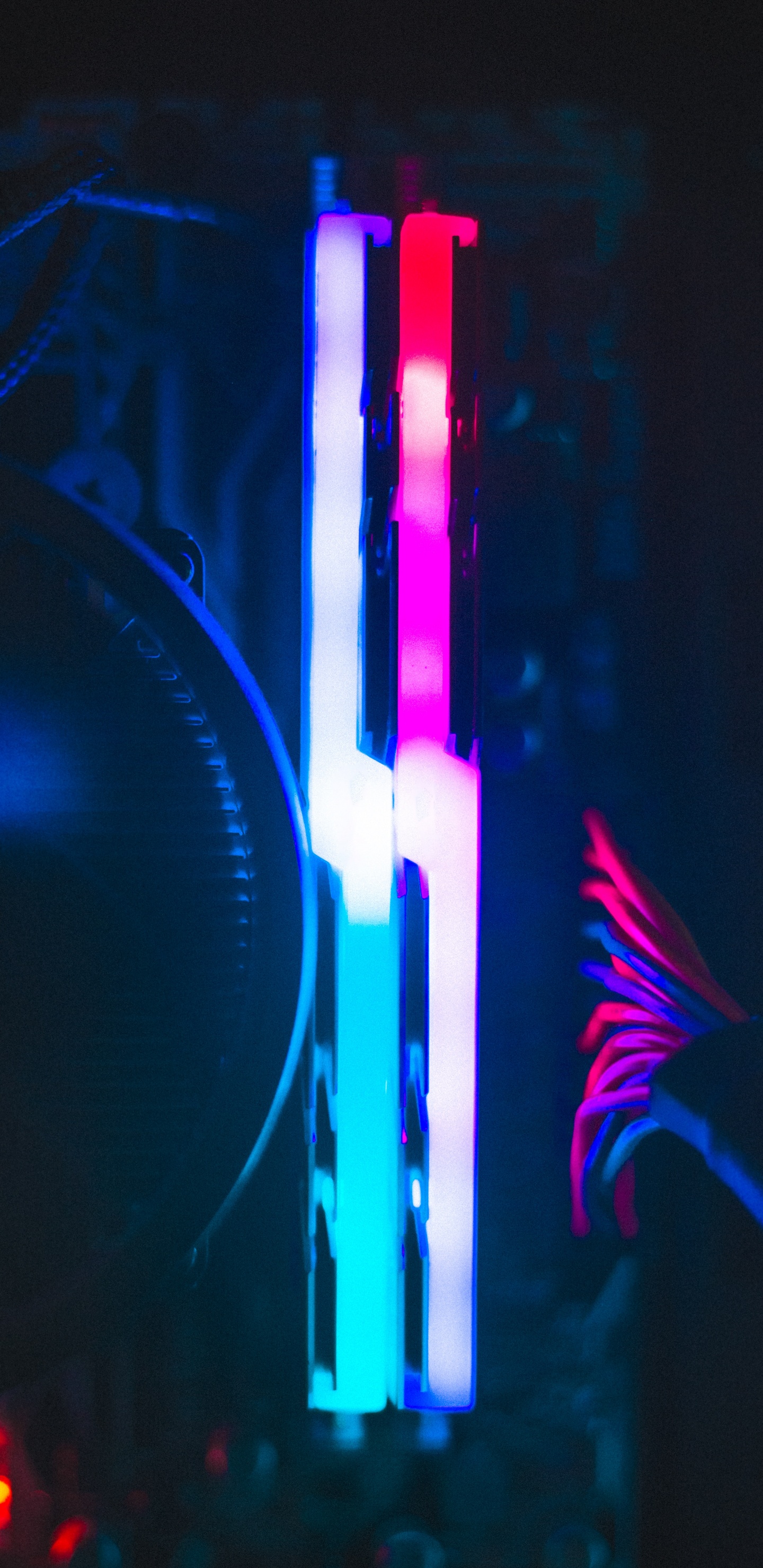 Disque Vinyle Noir et Blanc. Wallpaper in 1440x2960 Resolution