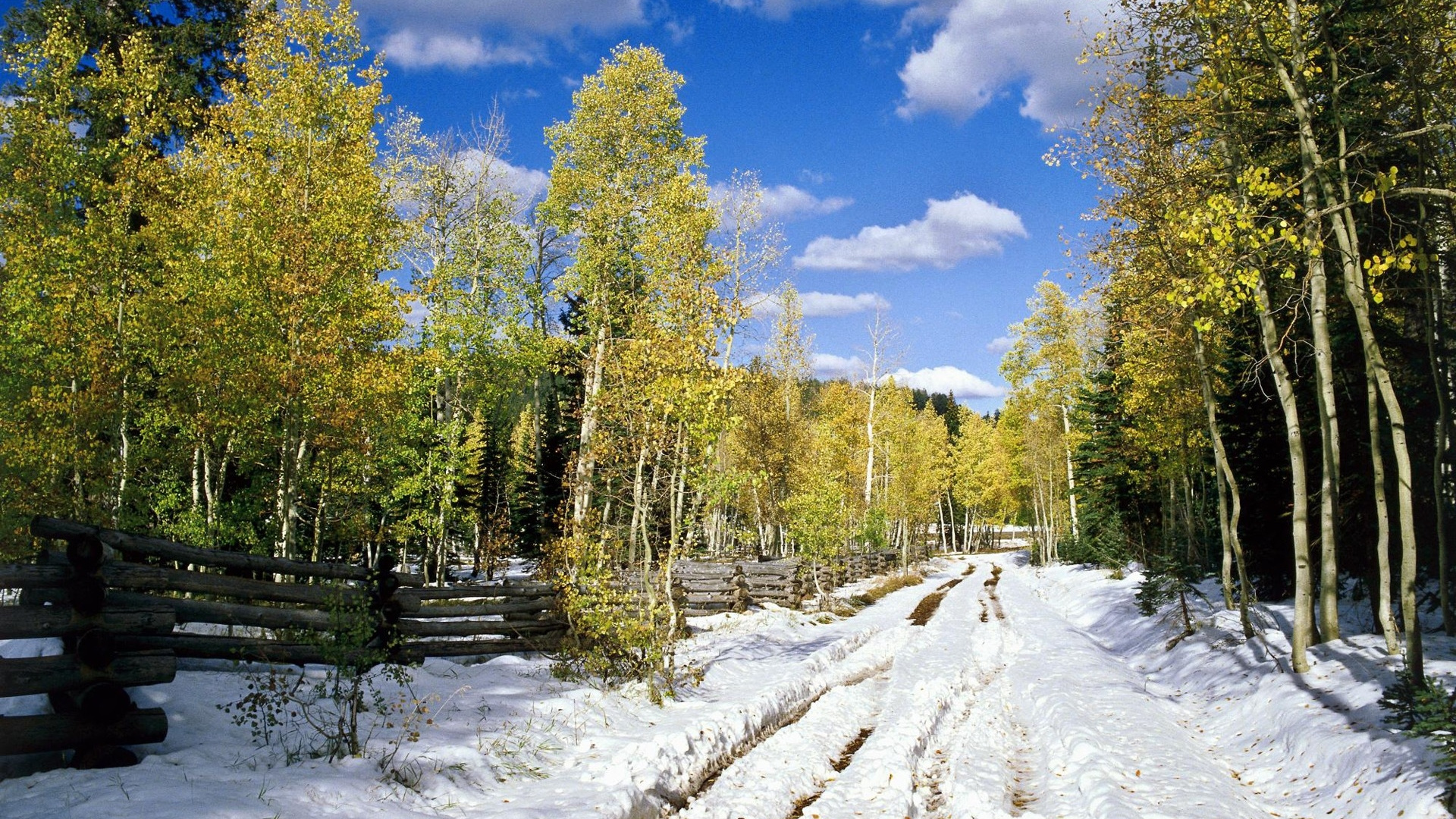 性质, 荒野, 生态系统, 冻结, 路径 壁纸 1920x1080 允许