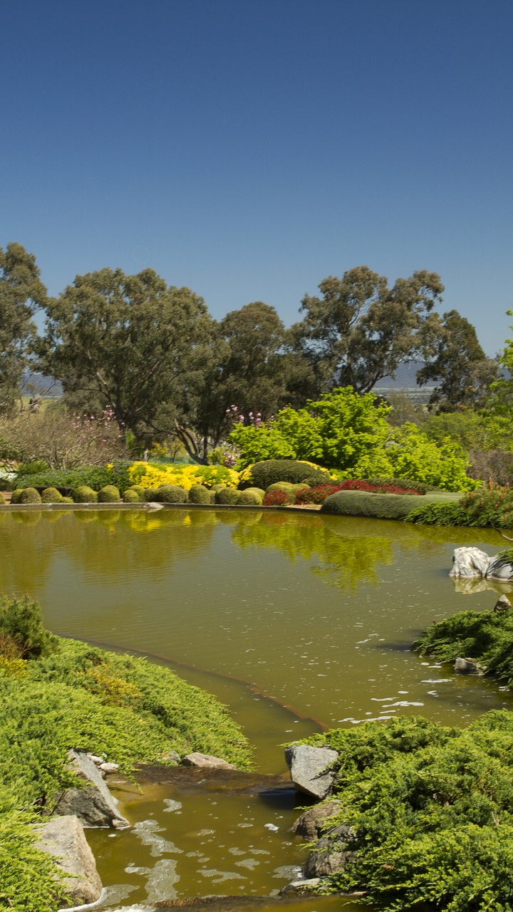 Arbres Verts à Côté de la Rivière Sous Ciel Bleu Pendant la Journée. Wallpaper in 720x1280 Resolution