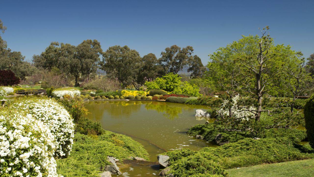 Green Trees Beside River Under Blue Sky During Daytime. Wallpaper in 1280x720 Resolution