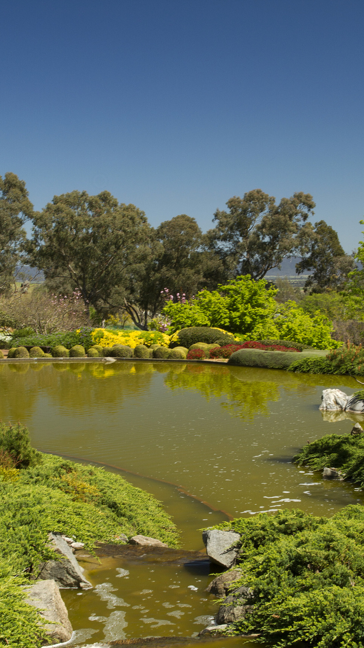 Grüne Bäume Neben Dem Fluss Unter Blauem Himmel Tagsüber. Wallpaper in 750x1334 Resolution