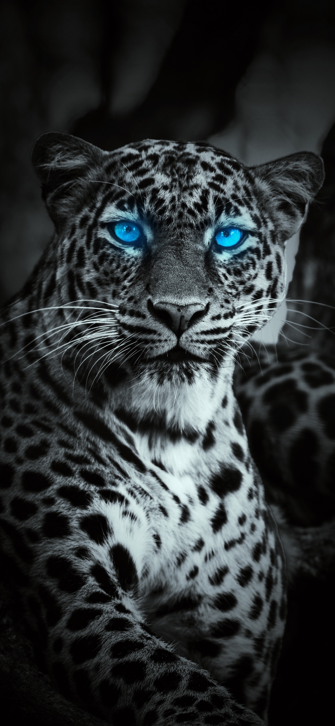 Tigre, Leopard, Leopardo, Leones, Jaguar. Wallpaper in 1125x2436 Resolution