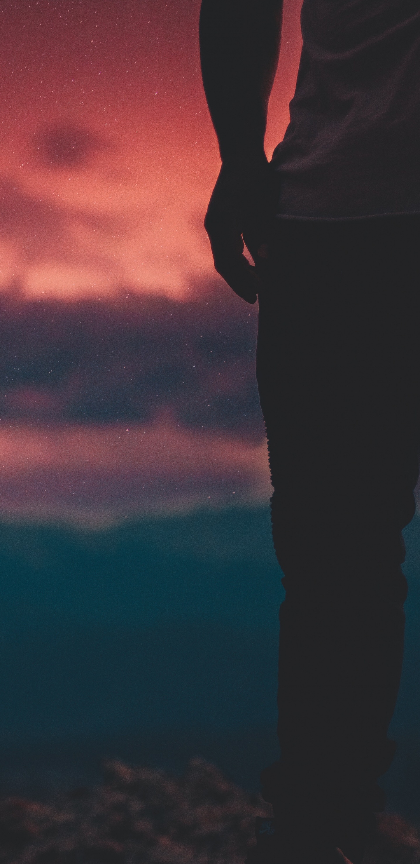 红色的, 气氛, 晚上, 地平线, 收获的月亮 壁纸 1440x2960 允许