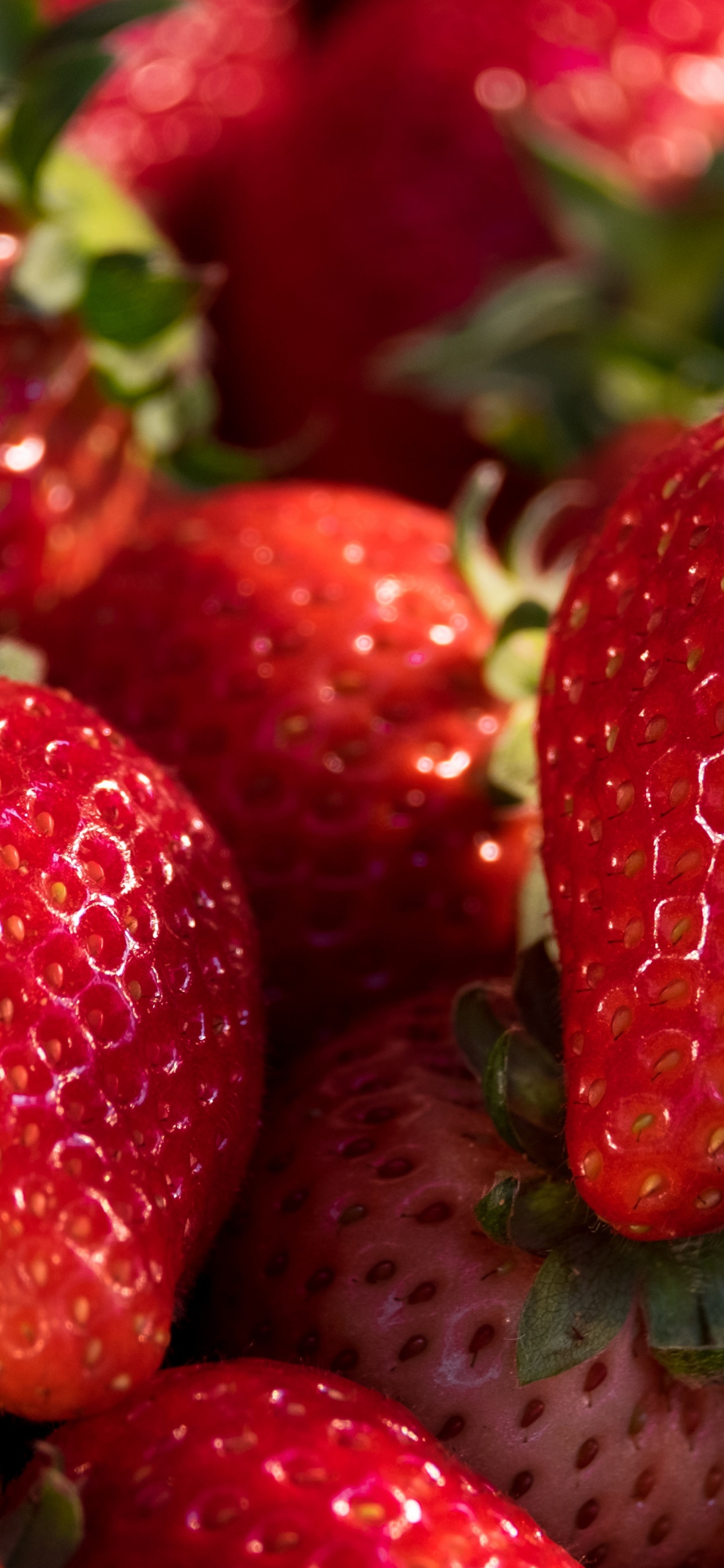 冰沙, 食品, 绿色的, 无核果, 天然的食物 壁纸 1242x2688 允许