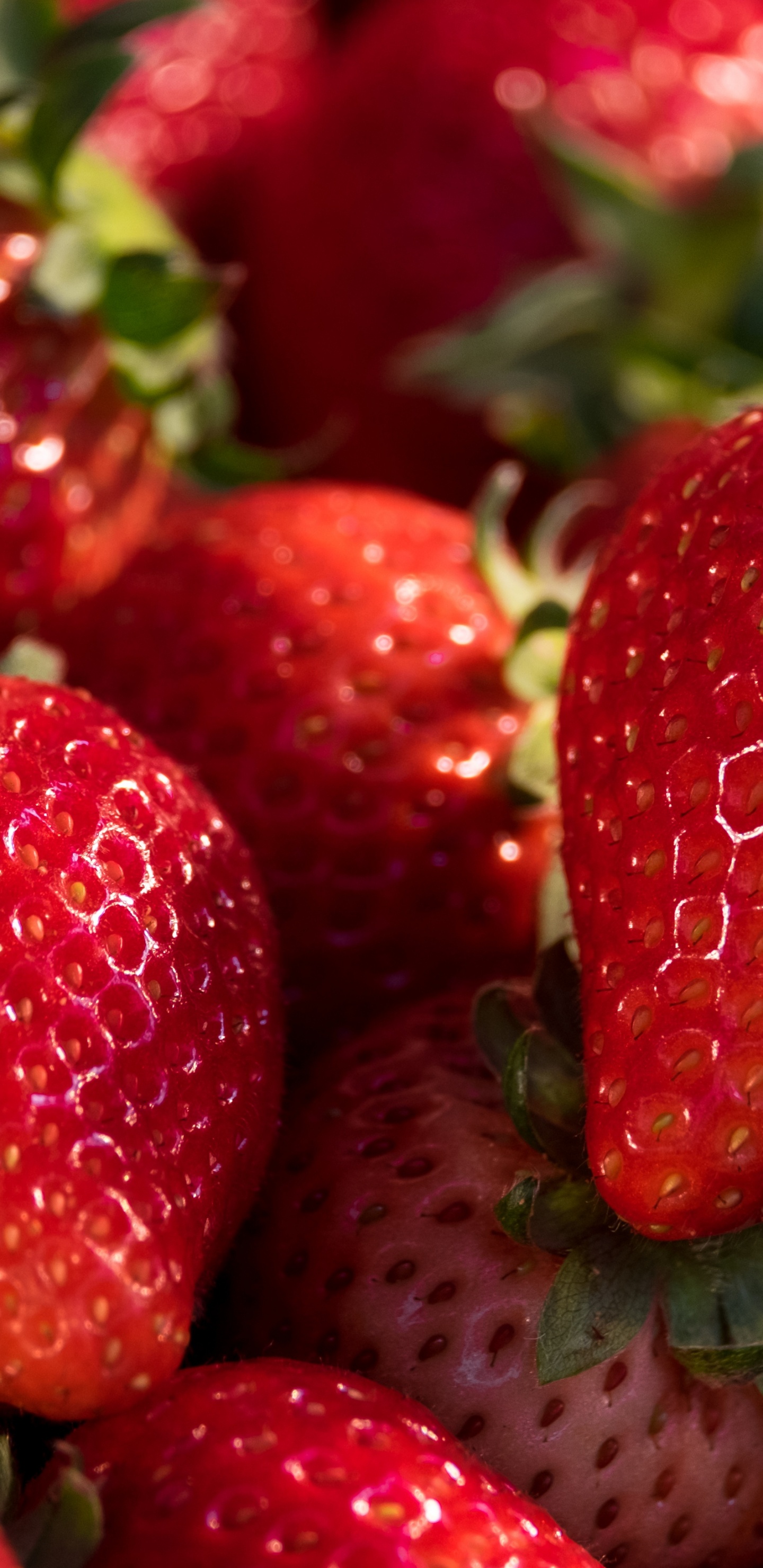 冰沙, 食品, 绿色的, 无核果, 天然的食物 壁纸 1440x2960 允许