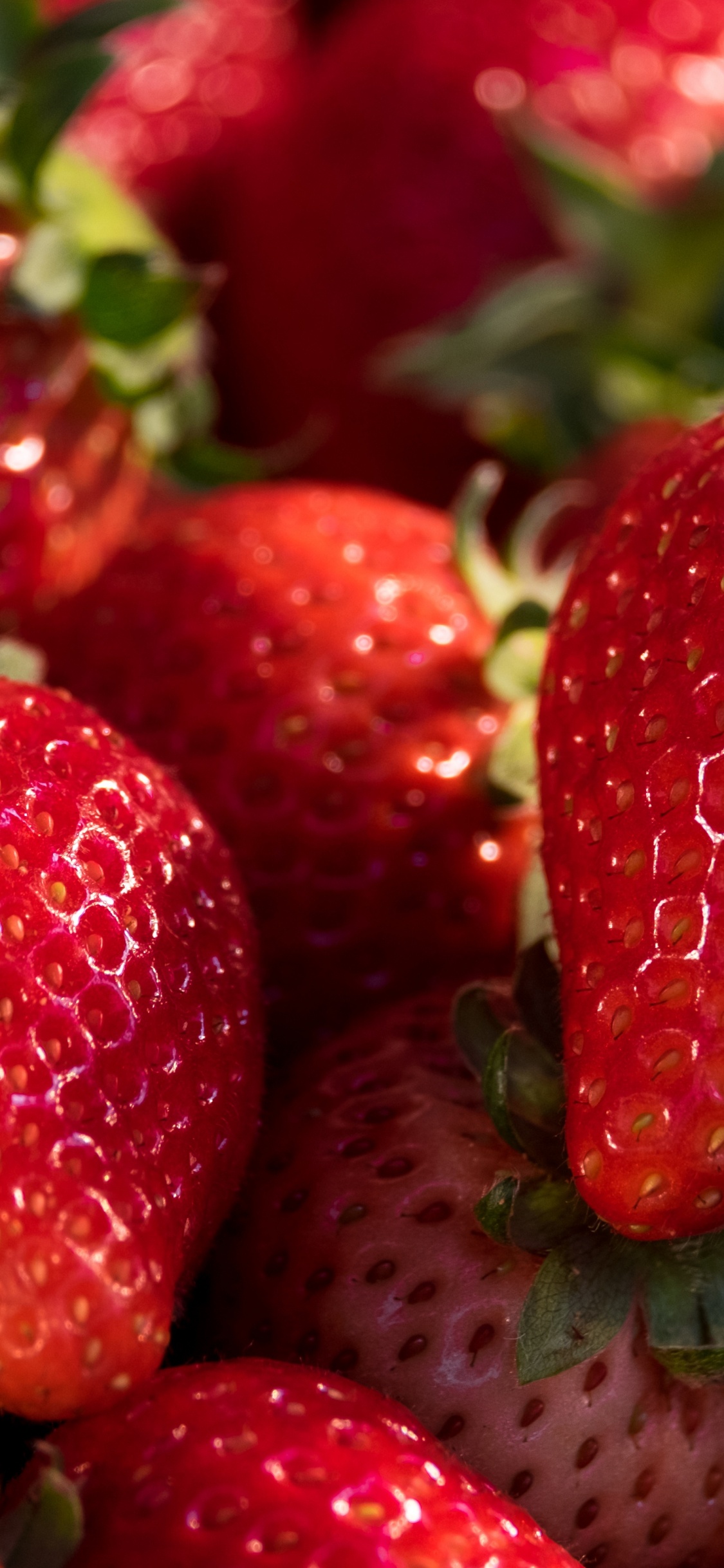 Erdbeere, West Virginia Erdbeerfest, Florida Erdbeer Festival, Berry, Smoothie. Wallpaper in 1125x2436 Resolution