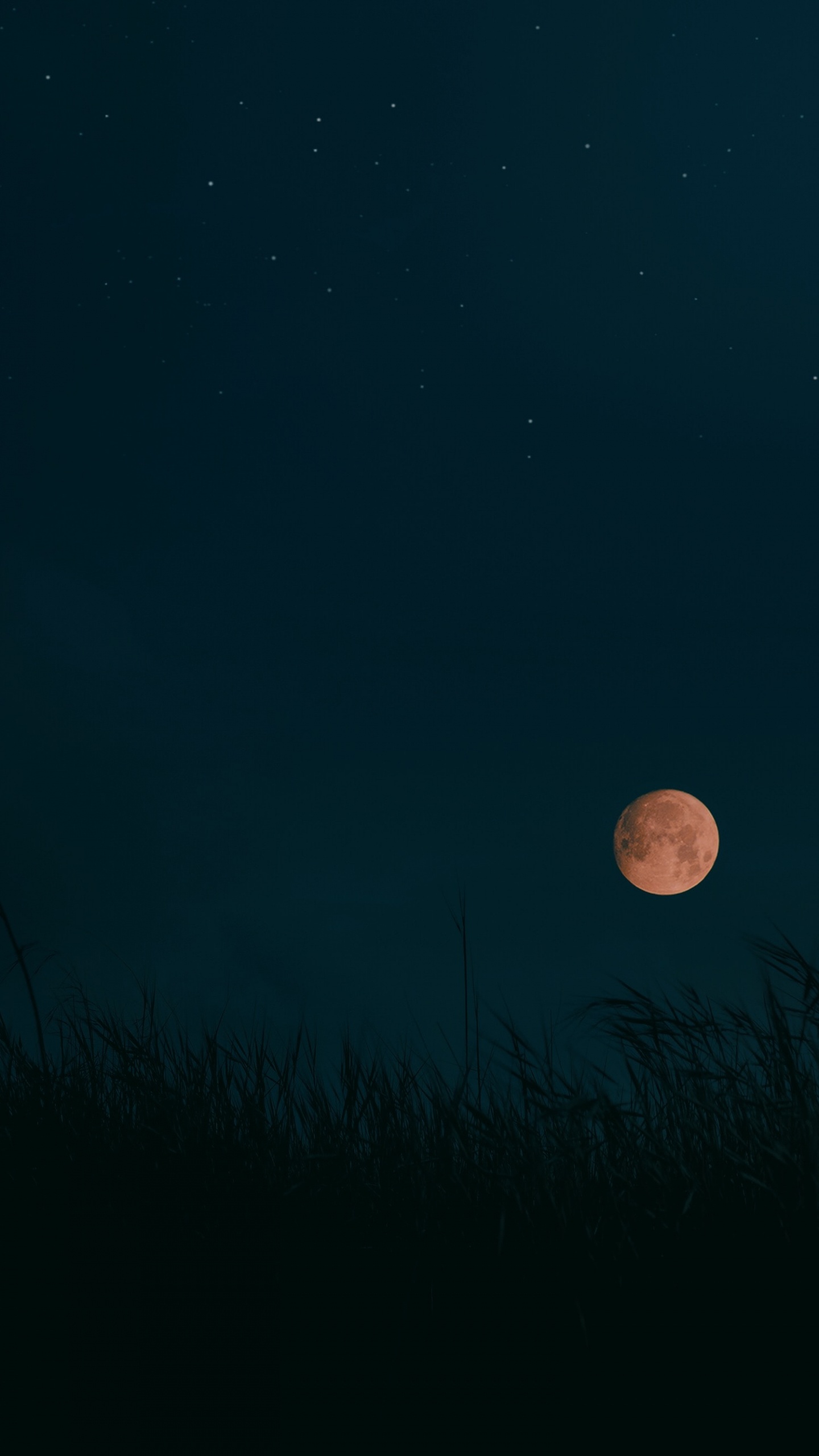 Harvest Moon, Mond, Vollmond, Astronomisches Objekt, Himmlisches Ereignis. Wallpaper in 1440x2560 Resolution
