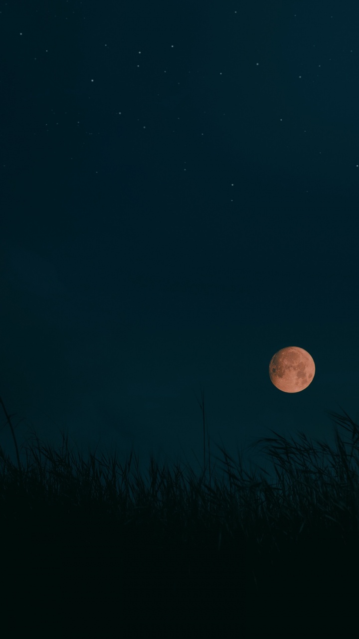 Harvest Moon, Mond, Vollmond, Astronomisches Objekt, Himmlisches Ereignis. Wallpaper in 720x1280 Resolution