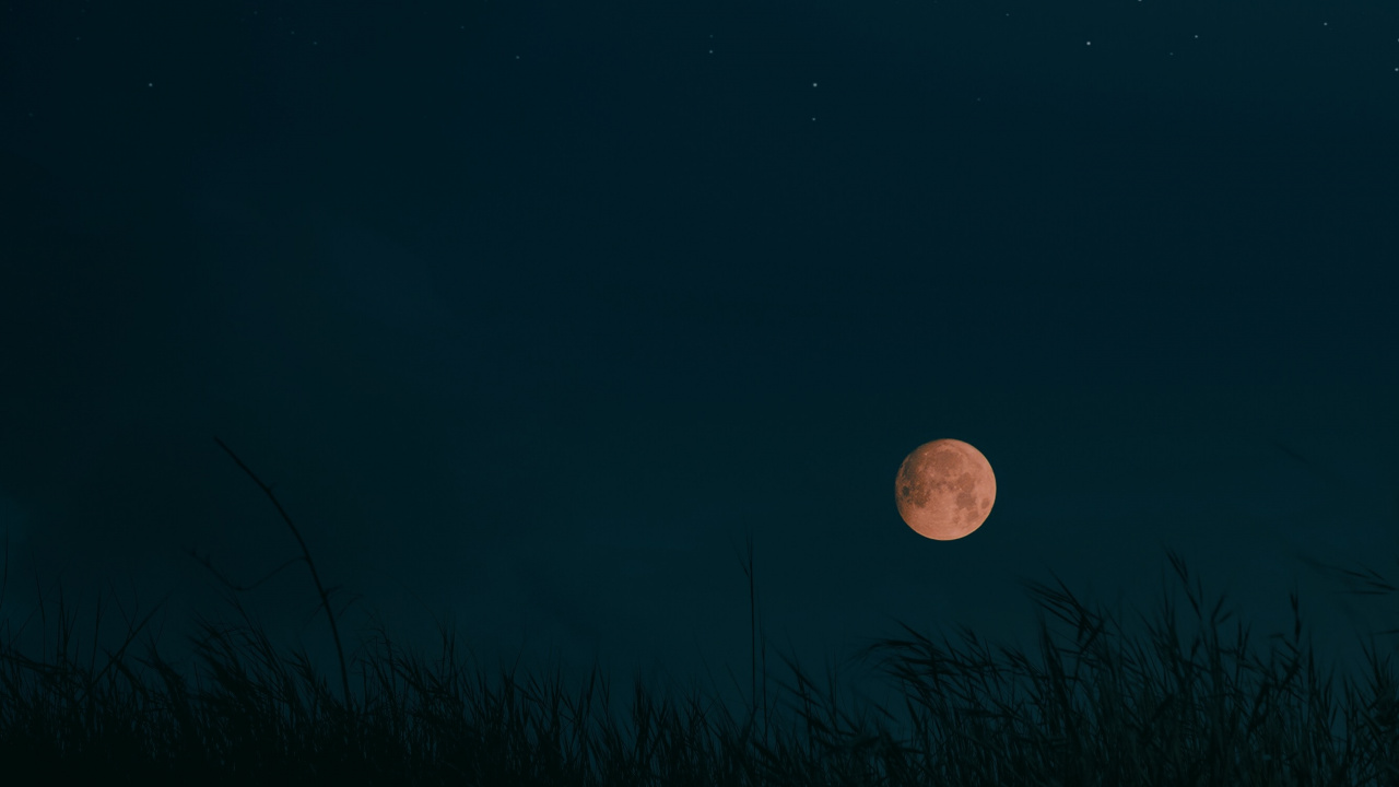 Harvest Moon, Moon, Full Moon, Astronomical Object, Celestial Event. Wallpaper in 1280x720 Resolution